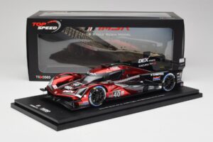 Acura ARX-06 GTP #40 Wayne Taylor Racing with Andretti J. Button / L. Deletraz / C. Herta / J. Taylor 3rd Place Rolex 24 at D - imagen 6 de 6